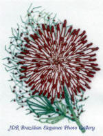 Cactus Dahlia by Virginia Chapman, Floss Flowers a Brazilian Dimensional embroidery design