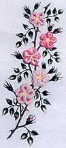 Wild Roses- Brazilian Embroidery pattern