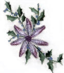 Christmas Brazilian Embroidery Pattern