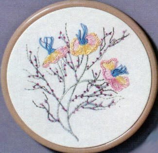 Brazilian Embroidery Learning Kit 11