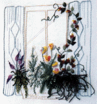 Wooden Shutters Framing A Window; Windowbox filled with Midsummer Flowers